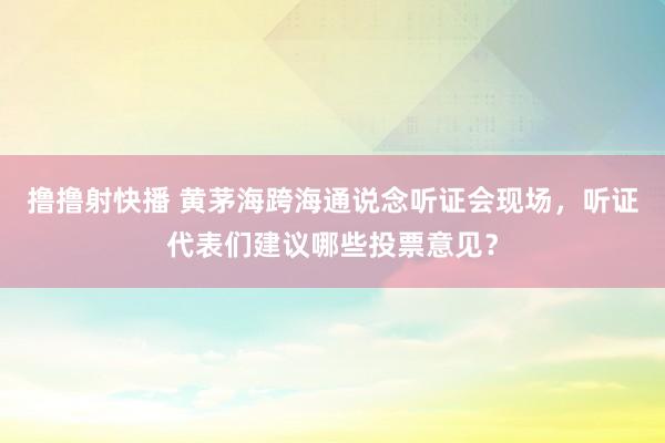 撸撸射快播 黄茅海跨海通说念听证会现场，听证代表们建议哪些投票意见？