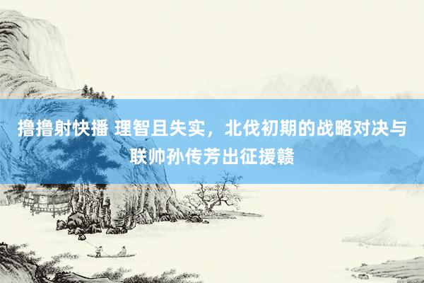 撸撸射快播 理智且失实，北伐初期的战略对决与联帅孙传芳出征援赣