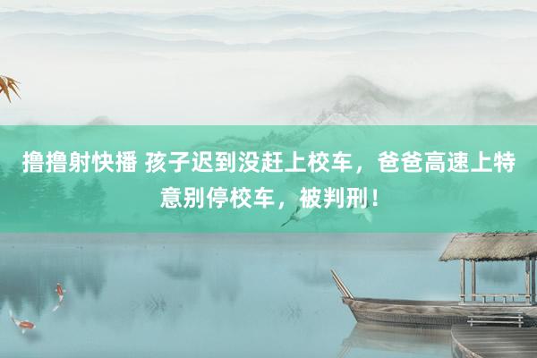 撸撸射快播 孩子迟到没赶上校车，爸爸高速上特意别停校车，被判刑！