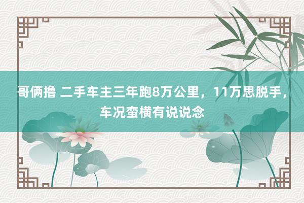 哥俩撸 二手车主三年跑8万公里，11万思脱手，车况蛮横有说说念