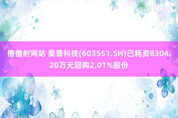 撸撸射网站 奥普科技(603551.SH)已耗资8304.20万元回购2.01%股份