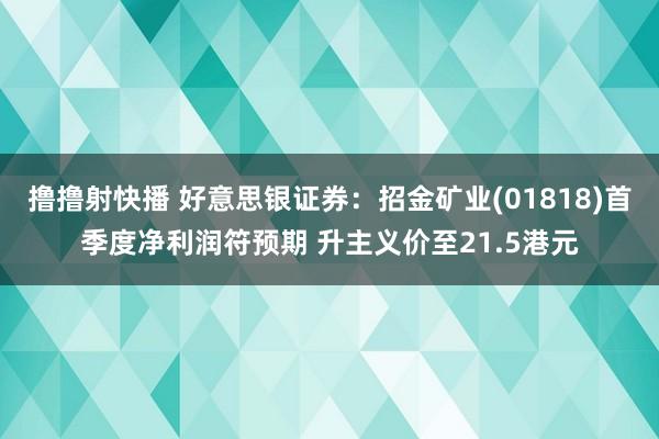撸撸射快播 好意思银证券：招金矿业(01818)首季度净利润符预期 升主义价至21.5港元