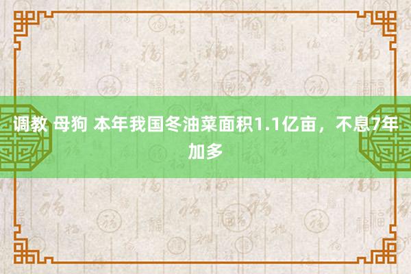 调教 母狗 本年我国冬油菜面积1.1亿亩，不息7年加多